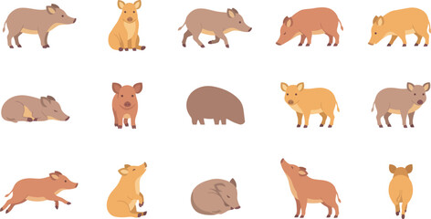 Obraz premium Diverse set of cute flat vector wild boar icons in various poses, showing different behaviors and body positions.