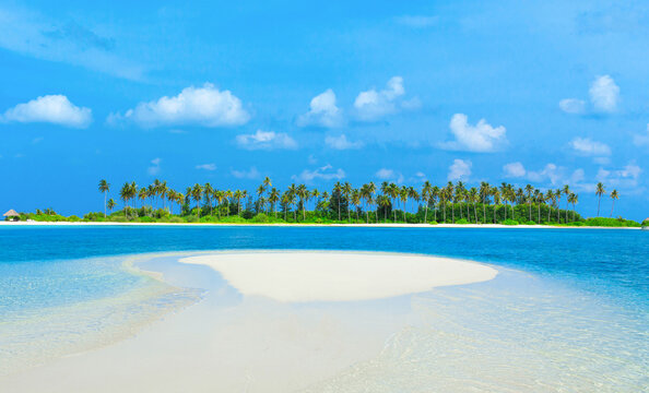 tropical beach in Maldives. beach landscape