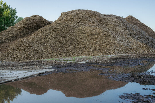 Large wood chip piles reflected in muddy water at biomass storage yard