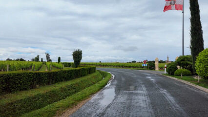 Obraz premium Wet Road Winding Through Lush Vineyards in Saint Emilion France