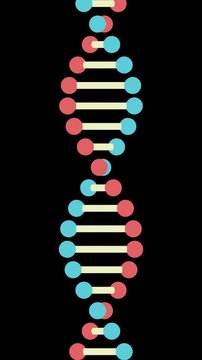 DNA Animation Loop