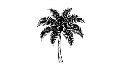 Obraz premium Tropical Palm Tree Black Silhouette Vector for Beach and Travel Designs