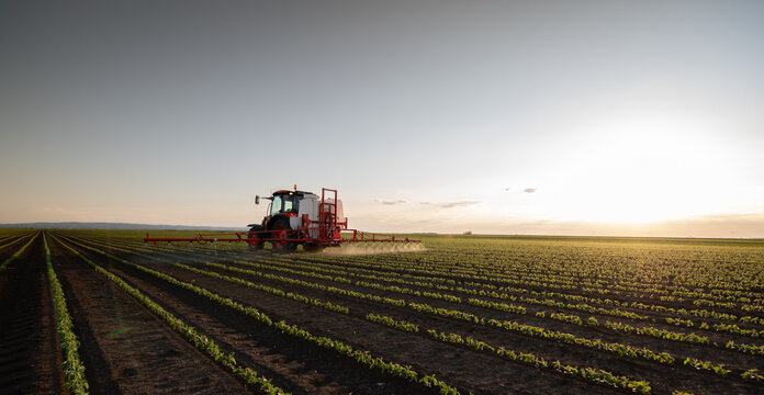 Modern agriculture tractor spraying crops in soybean field