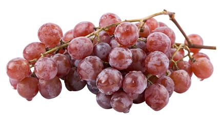 Red Globe grapes on vine with water droplets © Lubos