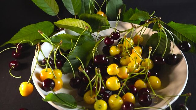 Freshly picked wild yellow and red cherries with green leaves rotating in a white bowl on a dark background. Healthy eating and vitamin rich summer fruit concept for a balanced diet
