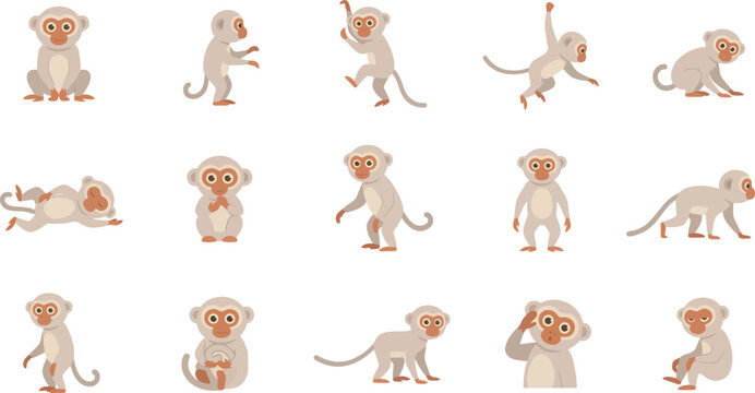 Set of adorable monkey characters in various poses and expressions isolated on a white background vector