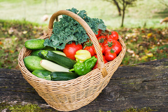 Vegetables harvest