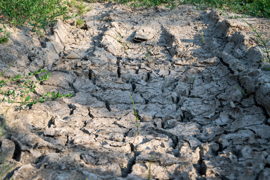 Dry Cracked Soil Caused by Summer Drought
