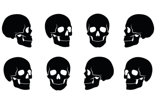 Eight black silhouette skulls halloween and gothic design elements