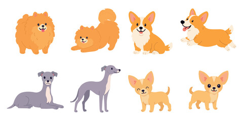 Obraz premium Cute dog set featuring pomeranian spitz corgi italian greyhound and chihuahua breeds. Cute domestic pet clip art collection for animal shelter posters veterinary flyers and stickers