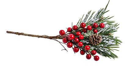 Frosted pine branch with red berries and pine cone © Elvin