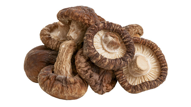 Dried Shiitake Mushrooms Pile
