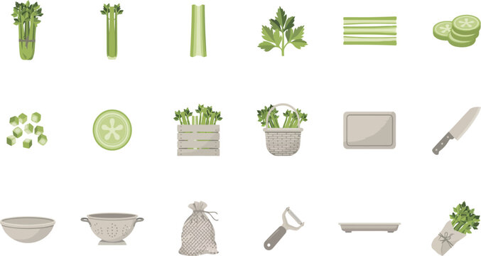 Set of flat vector icons featuring fresh celery stalks, sliced vegetables, kitchen tools, and cooking equipment.
