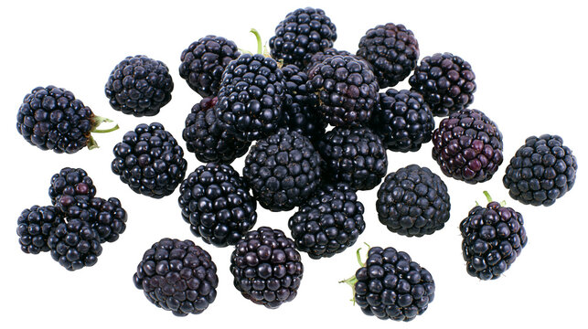 Fresh ripe blackberries scattered on white