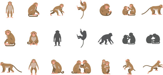 Obraz premium Set of various monkey character poses and silhouettes in flat vector style for wildlife and nature illustrations