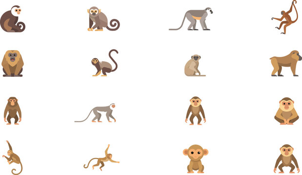 Set of various monkey species in different poses and activities isolated on a simple white background vector art