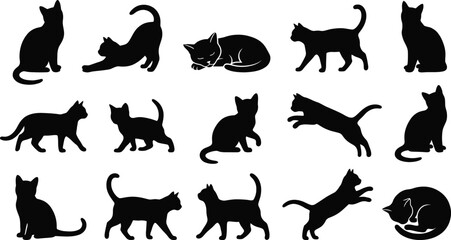 Set of fifteen black cat silhouettes showing different feline postures like sitting, stretching, sleeping, and jumping on white background © GT Designs