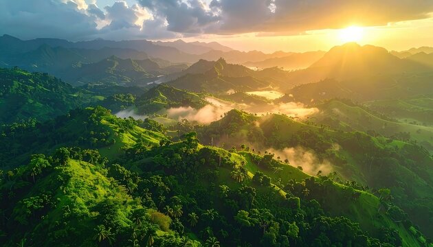 Lush green rolling hills bathed in golden sunset light.