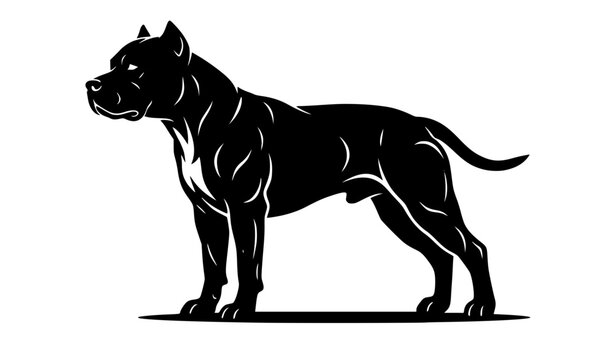 Pitbull dog full body vector illustration muscular guard canine standing in profile view silhouette isolated on white background for security logo design and mascot branding