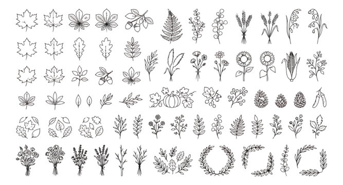 Minimalist autumn leaf line art collection, hand drawn botanical fall elements vector set, rustic harvest foliage and floral icons for seasonal branding