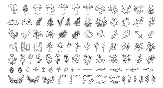 Hand drawn forest botanical collection, 88 black line art icons of mushrooms and leaves, minimalist floral vector elements for wedding invitations