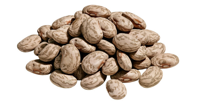 Pile of dry pinto beans with characteristic brown speckles