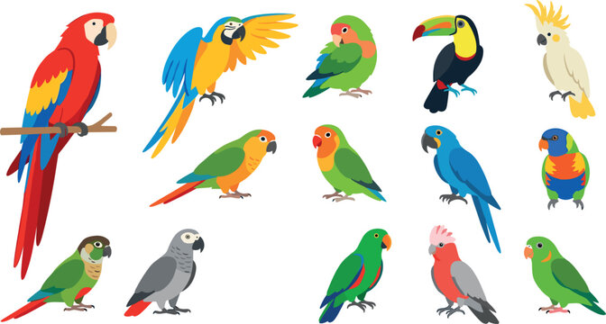 Tropical Parrot and Exotic Bird Cartoon Vector Set with Scarlet Macaw Toucan Cockatoo Lovebird and African Grey for Wildlife Concept Designs