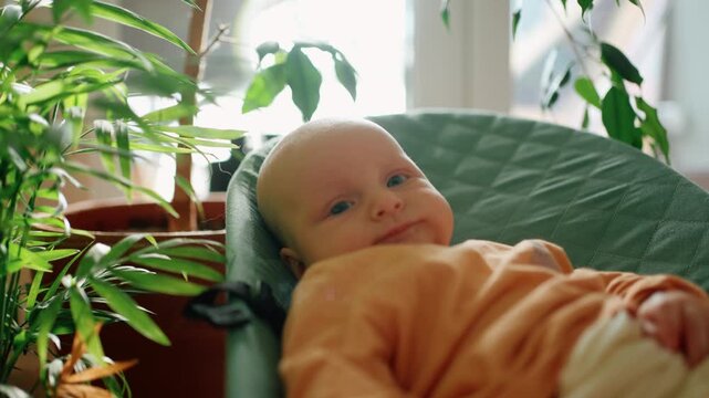 Adorable newborn baby with chubby cheeks and blue eyes observing surroundings while resting in a comfortable baby bouncer at home, with lush indoor plants in the bright background