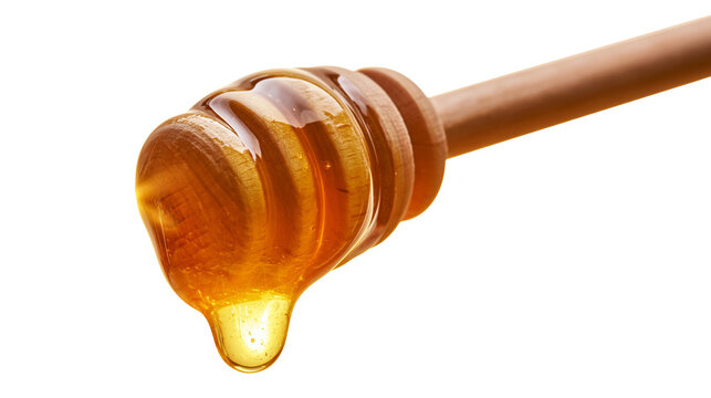 Golden honey dripping from wooden dipper stick