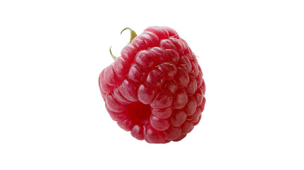 Single ripe red raspberry with green stem © Veikko