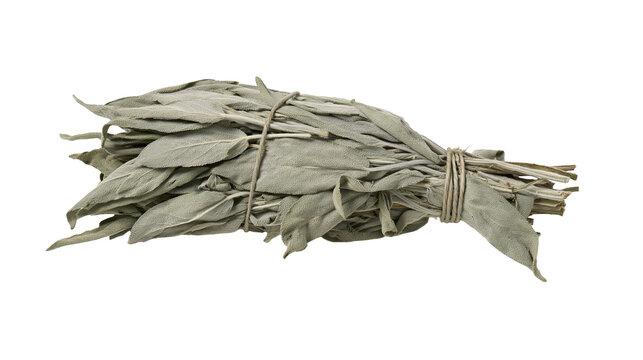 Dried sage bundle tied with twine