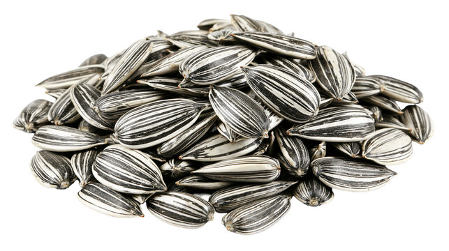 Pile of striped sunflower seeds