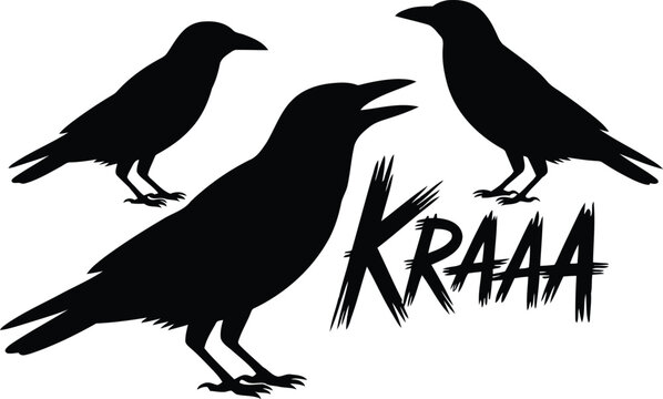 Three black crows silhouette with lettering