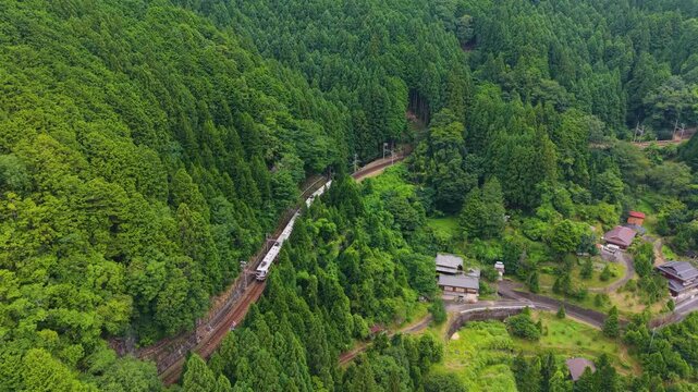 Nankai Railway Limited Express "Koya" train bound for Koyasan, passing through Hosokawa, Koya Town, Wakayama Prefecture, Japan　「高野山に向かう特急こうや」和歌山県高野町細川