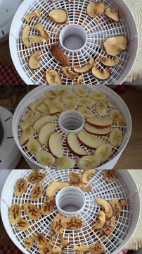 Vertical screen Food dehydrator reveals clear before and after results as fresh apple slices and bananas become dried fruit showing natural preservation and healthy snacks
