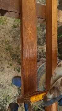 Woman staining wooden fence rail with paintbrush. House renovation process in backyard. vertical video format