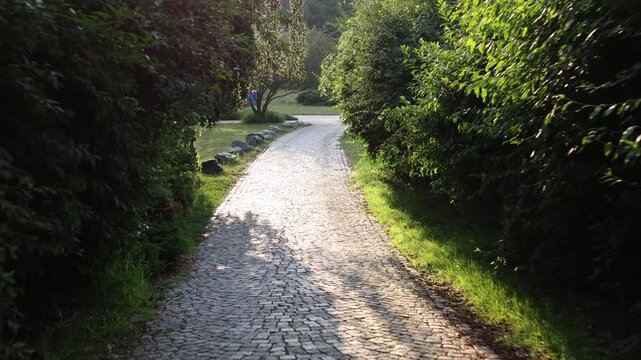 Sunlit cobblestone pathway winds through lush green park creating peaceful walking route surrounded by dense trees soft evening light and relaxing natural scenery