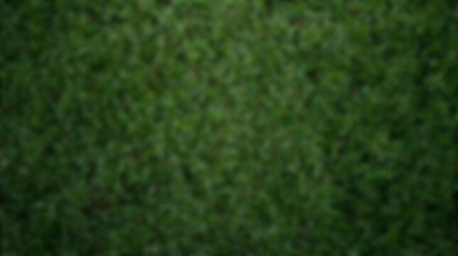 Close up of lush green grass texture background.