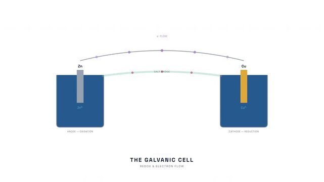 Galvanic Cell Electrochemistry Animation &mdash; Zinc Copper Redox Battery Chemistry Loop