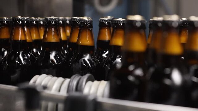 Brown glass beer bottles moving along an automated bottling line inside a modern brewery during the beverage packaging process.