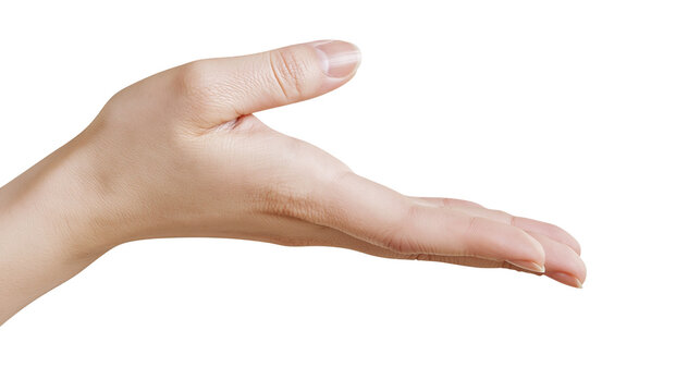 Open palm hand gesture, showing empty space