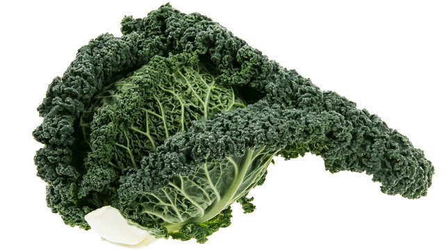 Dark green Lacinato kale head with textured leaves