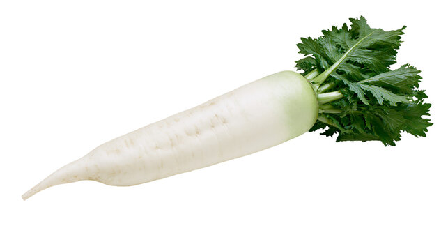 Daikon radish with green leaves