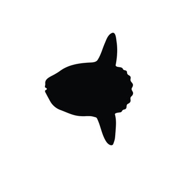 Sun fish silhouette icon vector flat design.