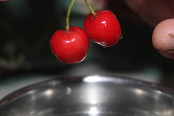 fress red shiny cherry fruits © Patel