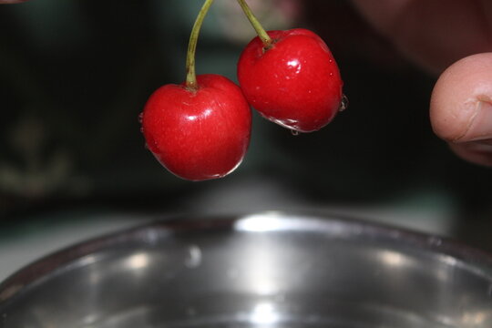fress red shiny cherry fruits