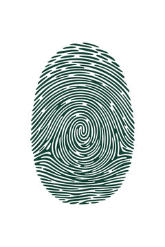 Abstract green fingerprint graphic for biometric security and identity verification. Biometric fingerprint spiral icon for modern security technology design. 