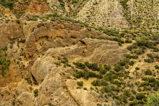 Rocky canyon and pine forest landscape in La Peza Granada Spain