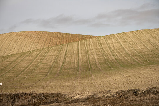 Rolling agricultural hills in Montes Orientales, Granada, Spain