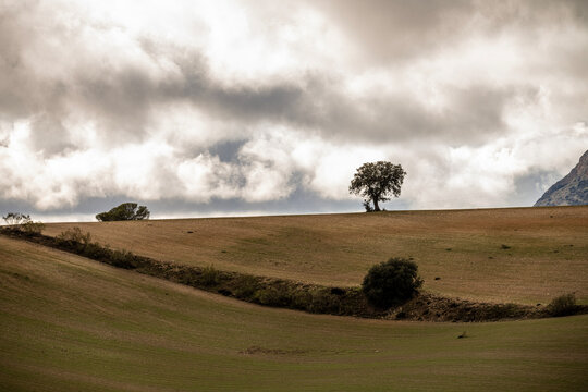 Rolling agricultural hills with crop patterns in Granada Spain